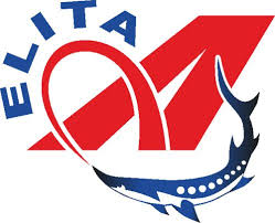 Логотип бренда A-Elita