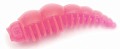 Boroda Baits Larva Сыр #105 Acid Pink